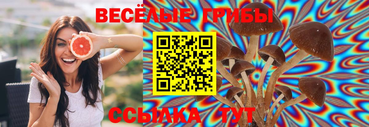 сколько стоит  Псилоцибиновые грибы прущие грибы  Вход с VPN  Зеленокумск 